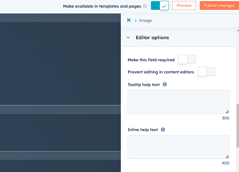 Editor Options section